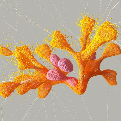 Financial growth visualization pattern