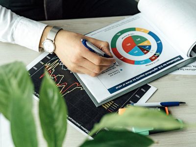 Senior investment strategist presenting project analysis